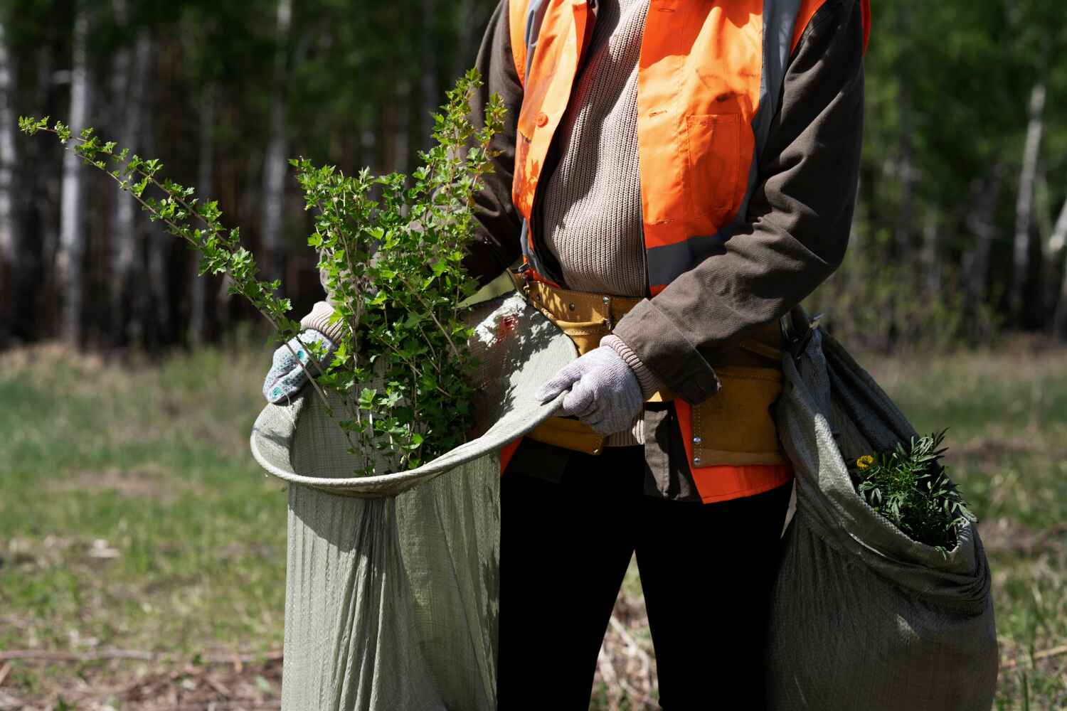 Best Tree Pruning Services  in Walnut Creek, NC